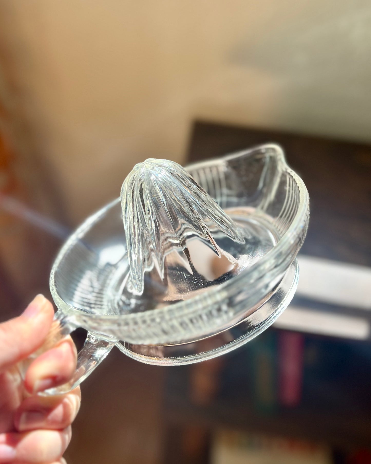 Vintage Glass Juicer