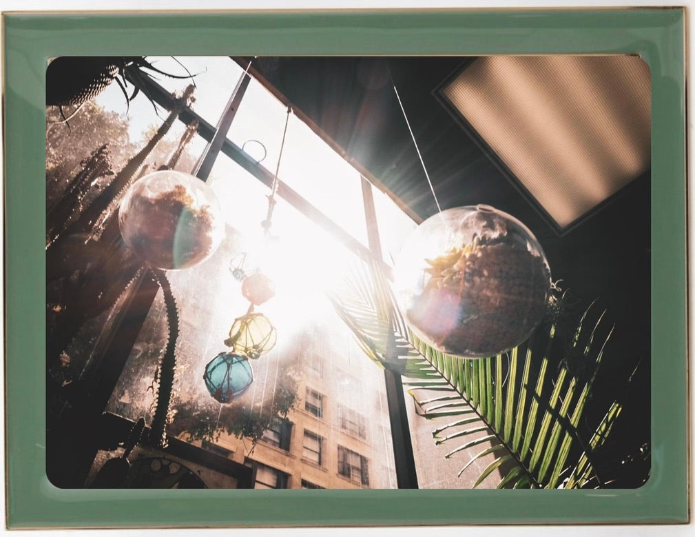 Flying Terrarium Print