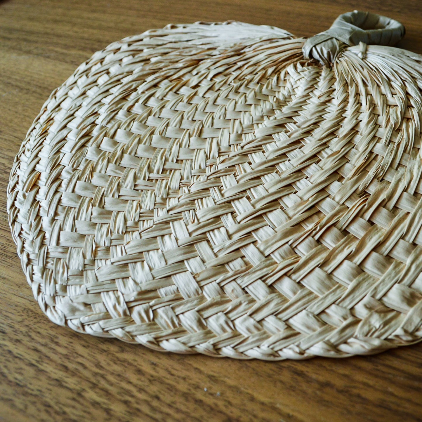 Handwoven Fan