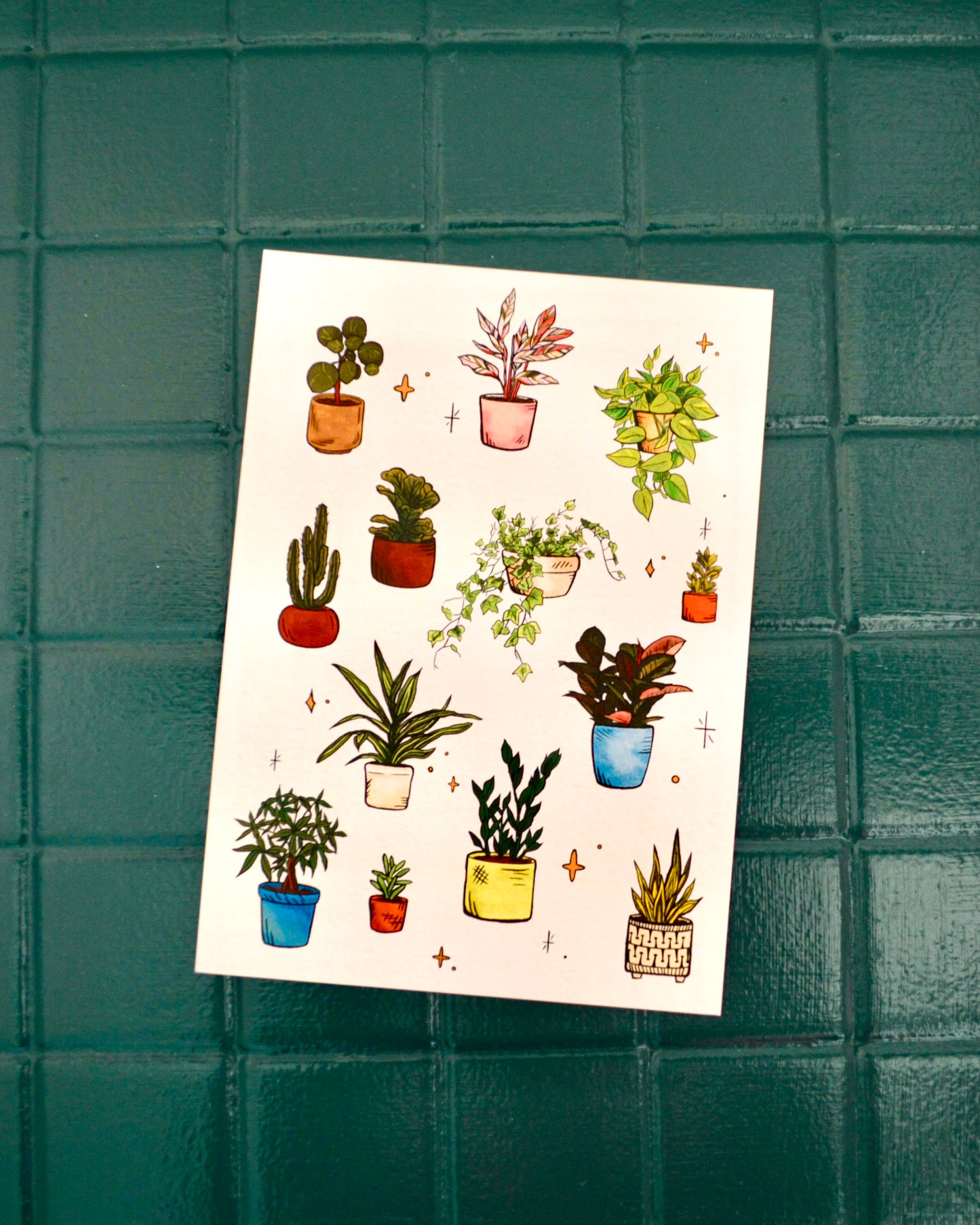House Plants Print
