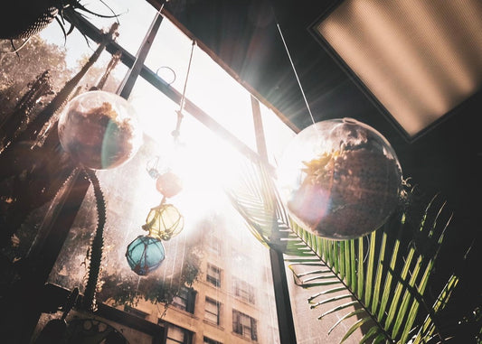 Flying Terrarium Print